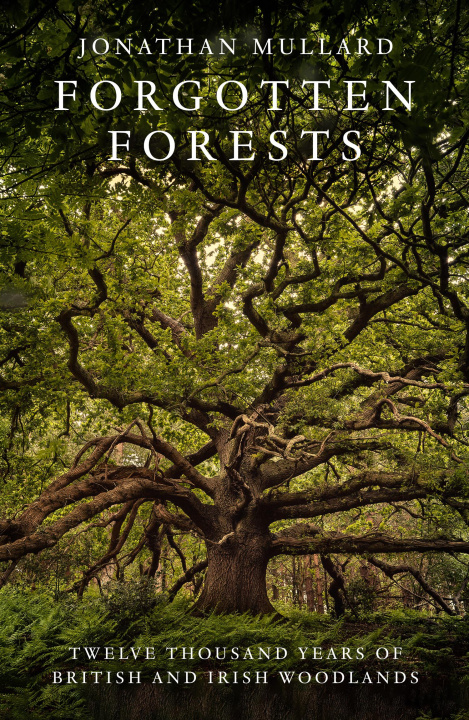 Book Forgotten Forests Jonathan Mullard
