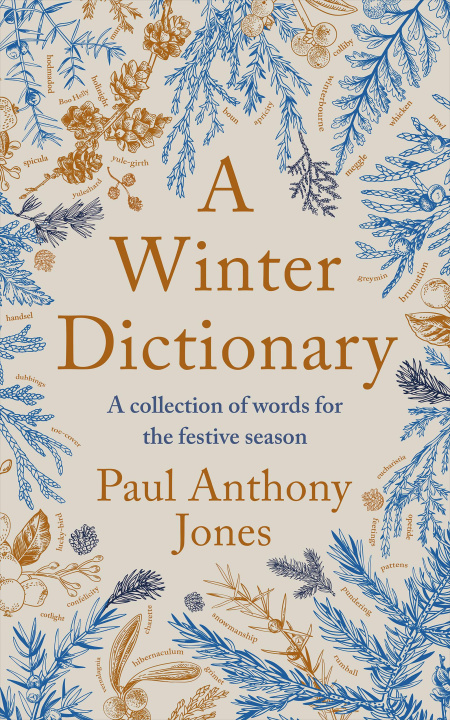 Knjiga Winter Dictionary Paul Anthony Jones