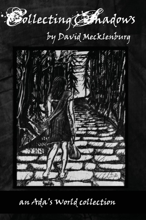 Knjiga Collecting Shadows David Mecklenburg