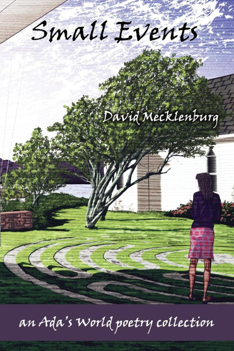 Book Small Events David Mecklenburg
