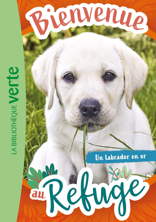 Buch Bienvenue au refuge 08 - Le labrador Hachette Livre
