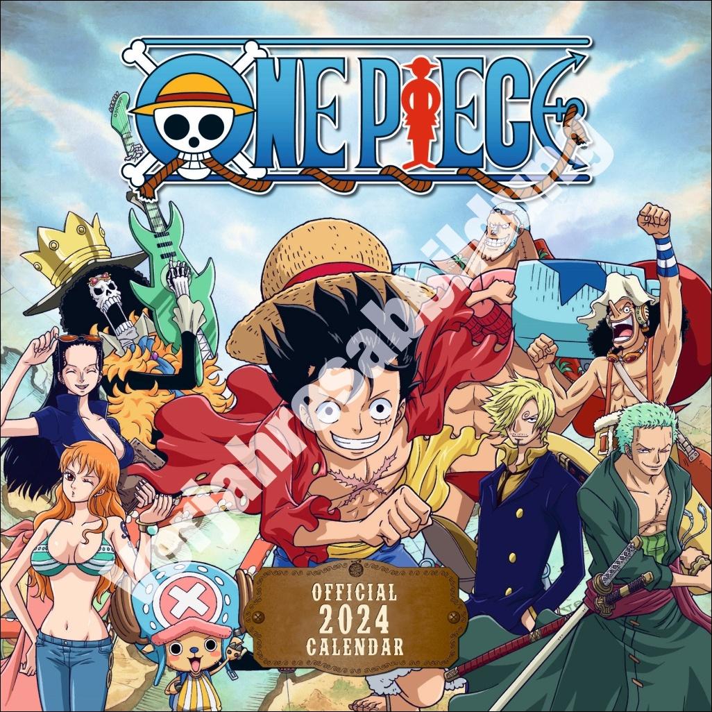 Kalendář/Diář One Piece Broschurkalender 2025 