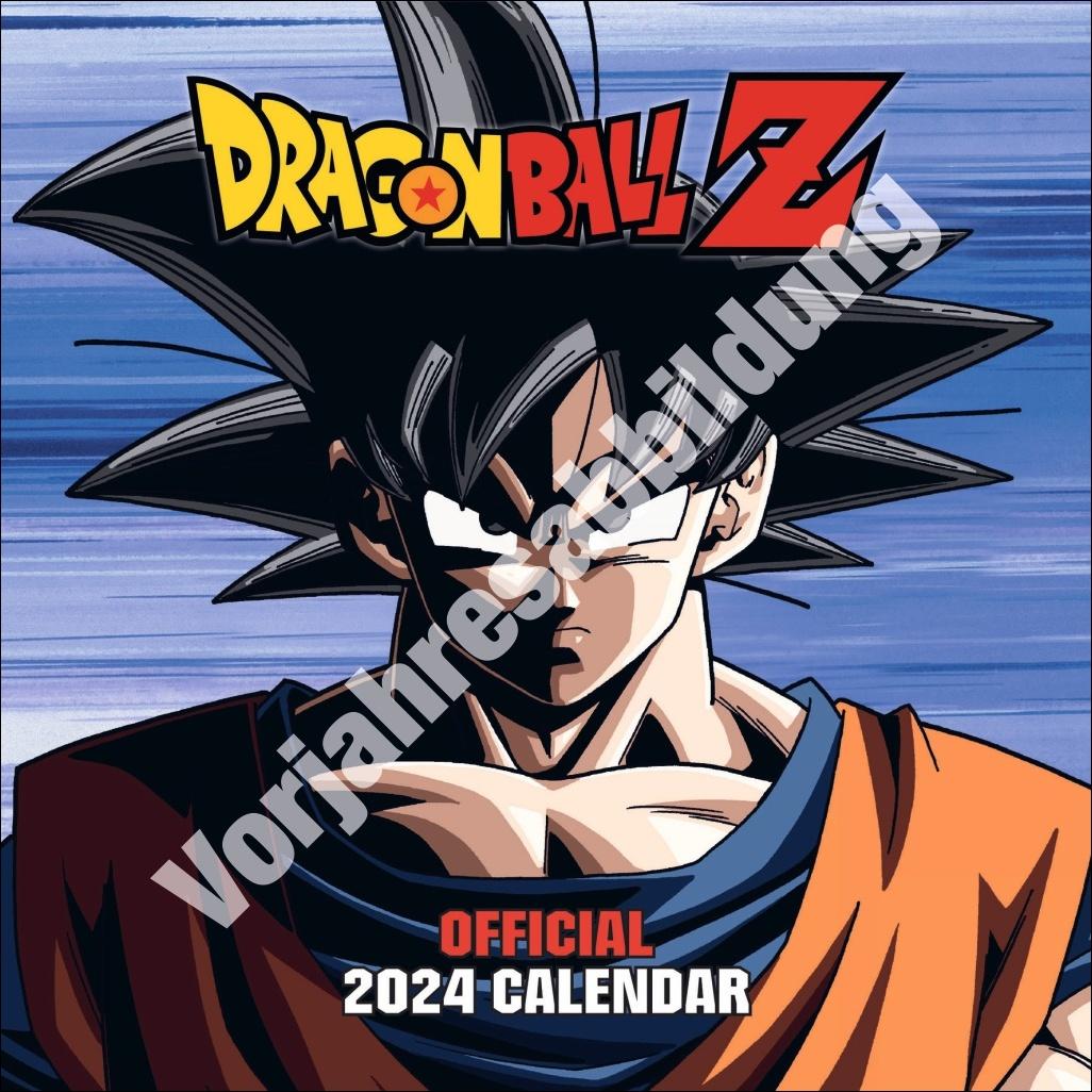 Kalendář/Diář Dragon Ball Z Broschurkalender 2025 