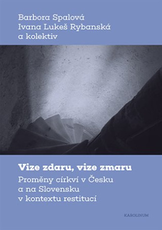 Kniha Vize zdaru, vize zmaru Barbora Spalová; Ivana Lukeš Rybanská