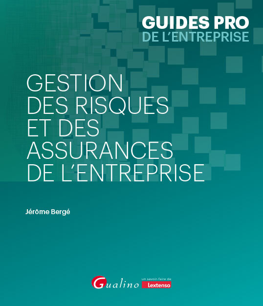 Kniha Gestion des risques et des assurances de l'entreprise Bergé