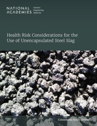 Kniha Health Risk Considerations for the Use of Unencapsulated Steel Slag Division On Earth And Life Studies