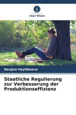 Книга Staatliche Regulierung zur Verbesserung der Produktionseffizienz 