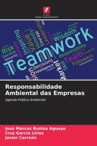 Buch Responsabilidade Ambiental das Empresas Cruz García Lirios