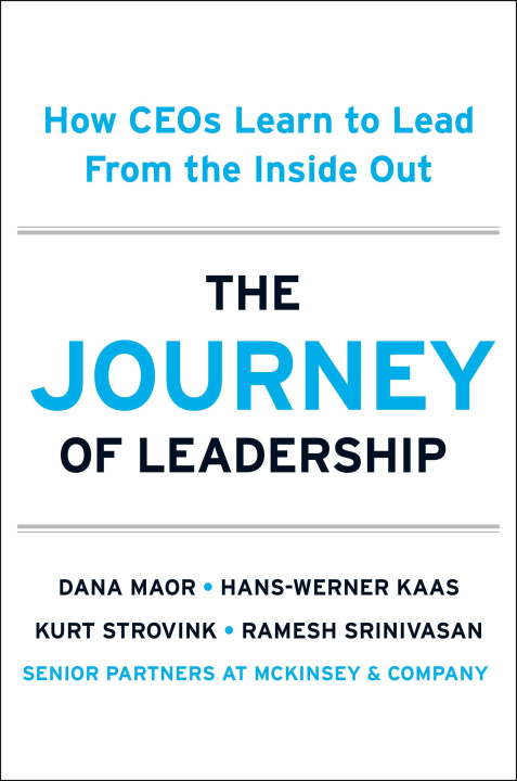 Book CEO WORKSHOP MAOR DANA