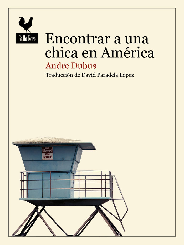 Libro ENCONTRAR A UNA CHICA EN AMERICA DUBUS