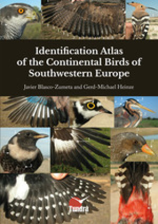 Kniha IDENTIFICATION ATLAS OF THE CONTINENTAL BIRDS OF SOUTHWESTERN EUROPE 