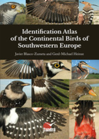 Könyv IDENTIFICATION ATLAS OF THE CONTINENTAL BIRDS OF SOUTHWESTERN EUROPE 