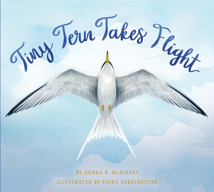 Kniha Tiny Tern Takes Flight Fiona Osbaldstone
