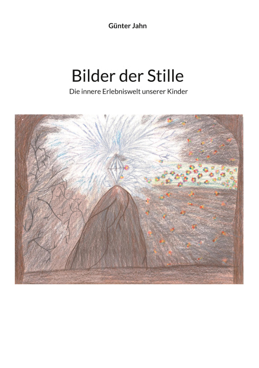 Libro Bilder der Stille 