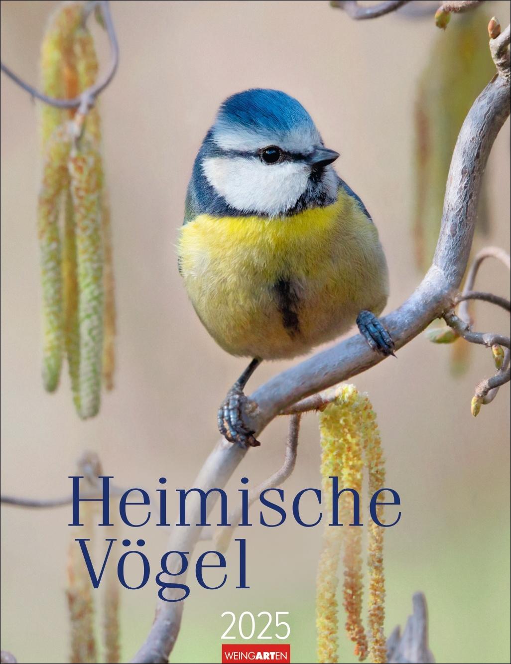 Kalendarz/Pamiętnik Heimische Vögel Kalender 2025 