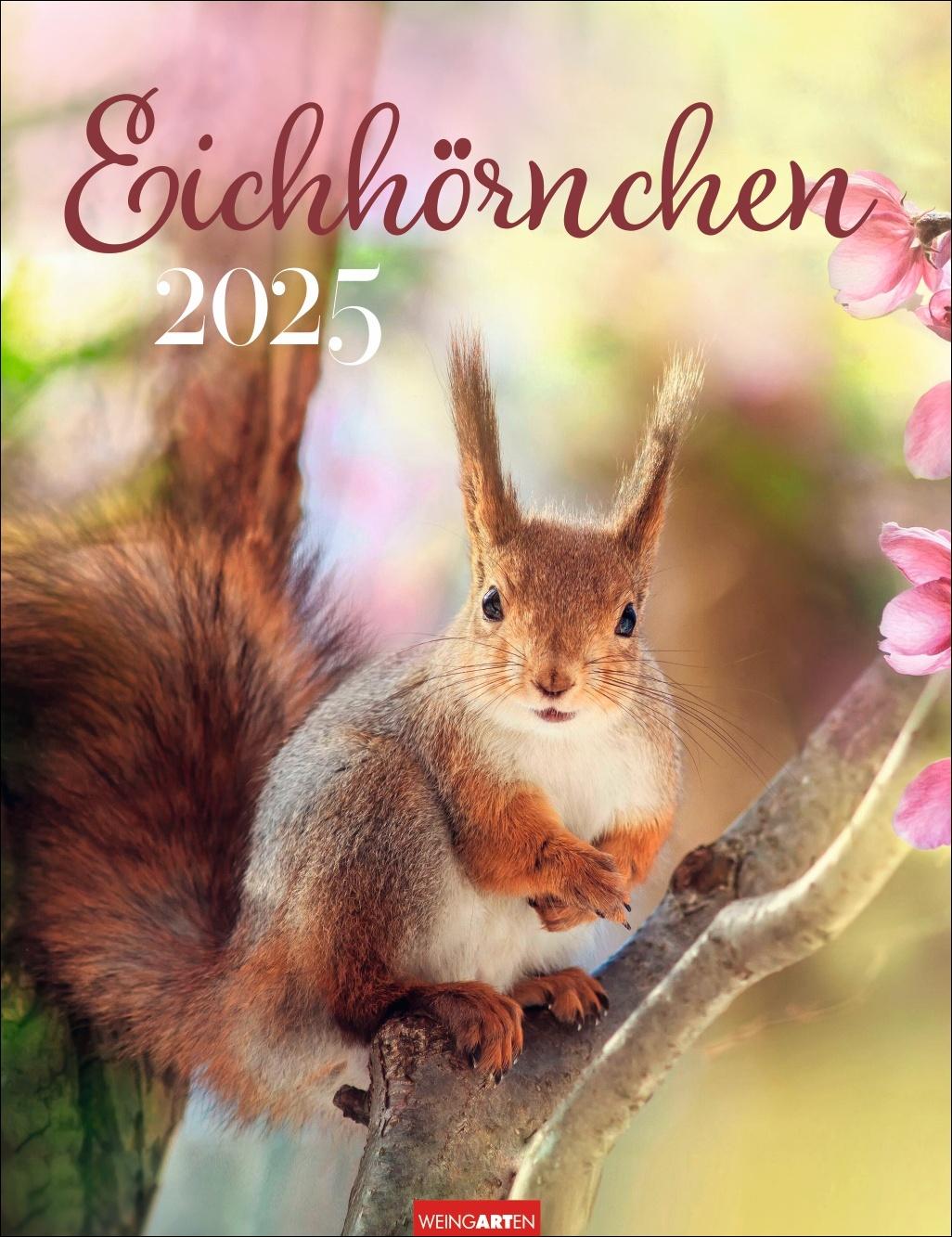 Календар/тефтер Eichhörnchen Kalender 2025 