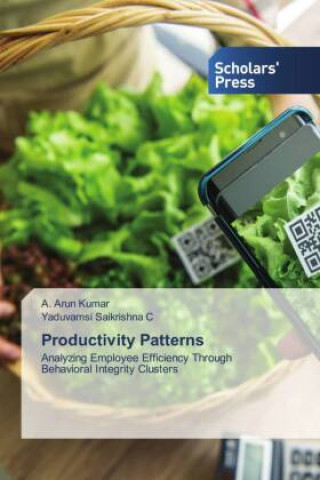 Knjiga Productivity Patterns Yaduvamsi Saikrishna