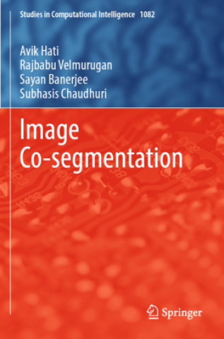 Buch Image Co-segmentation Avik Hati