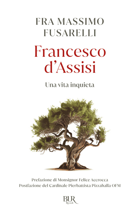 Kniha Francesco d'Assisi. Una vita inquieta Massimo Fusarelli