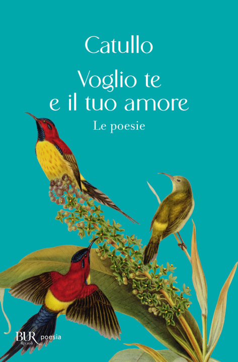 Kniha Voglio te e il tuo amore G. Valerio Catullo