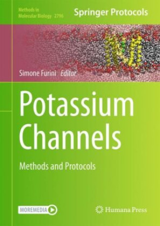 Kniha Potassium Channels Simone Furini
