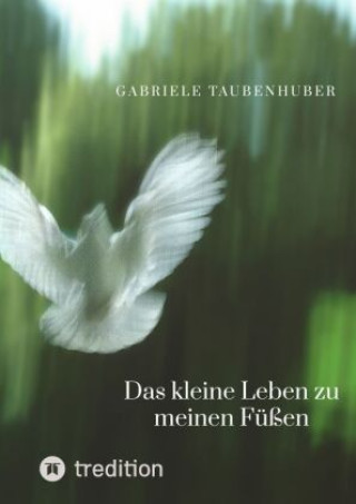 Buch Das kleine Leben zu meinen Füßen Gabriele Taubenhuber