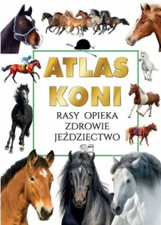 Carte Atlas Koni 