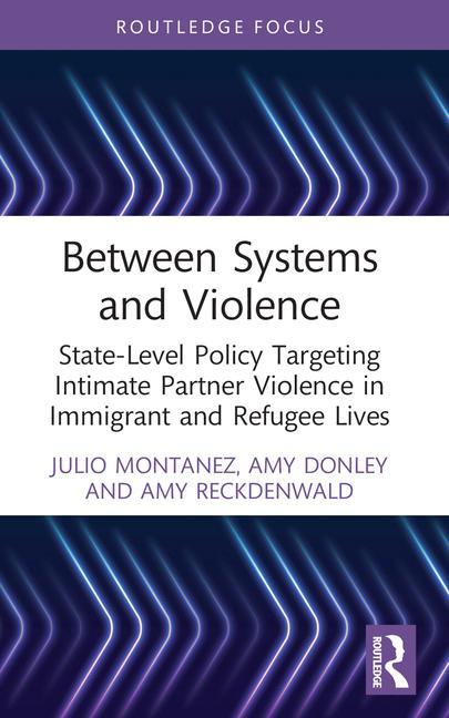 Knjiga Between Systems and Violence Amy Reckdenwald