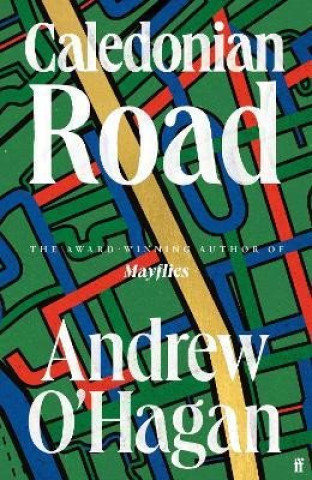 Книга Caledonian Road Andrew O'Hagan