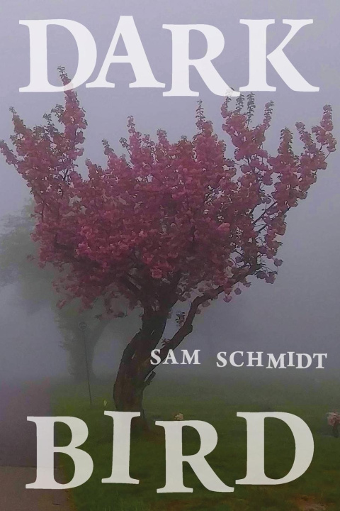 Kniha Dark Bird Sam Schmidt