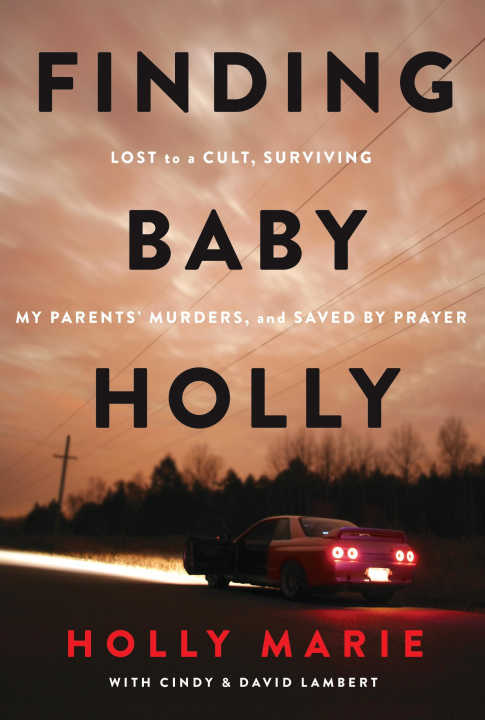 Book Finding Baby Holly Holly Marie Miller