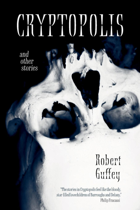 Buch Cryptopolis and Other Stories Robert Guffey