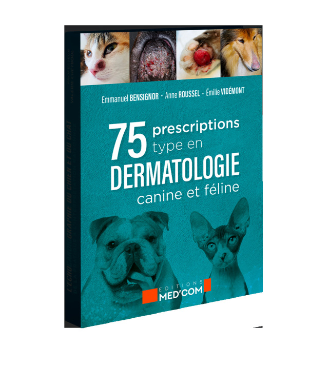 Kniha 75 Prescriptions type en dermatologie canine et féline ROUSSEL