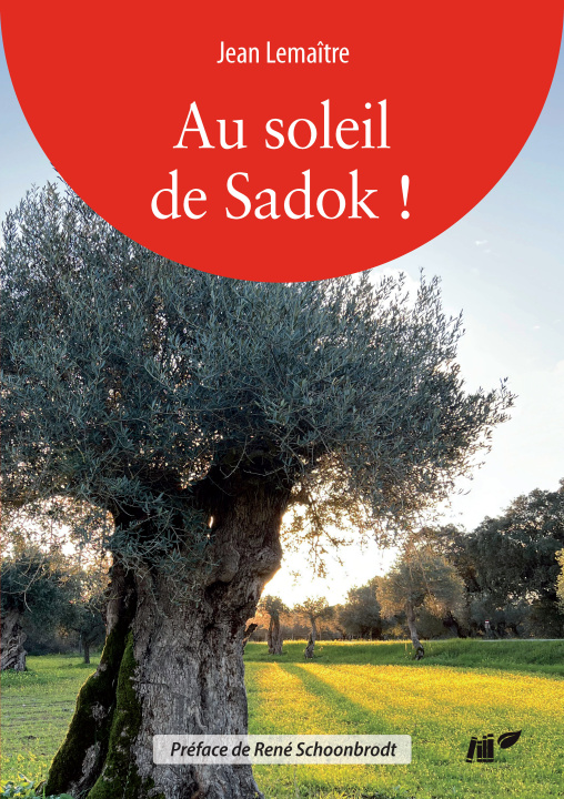 Kniha Au Soleil de Sadok Lemaître