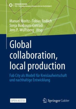 Kniha Global collaboration, local production Tobias Redlich