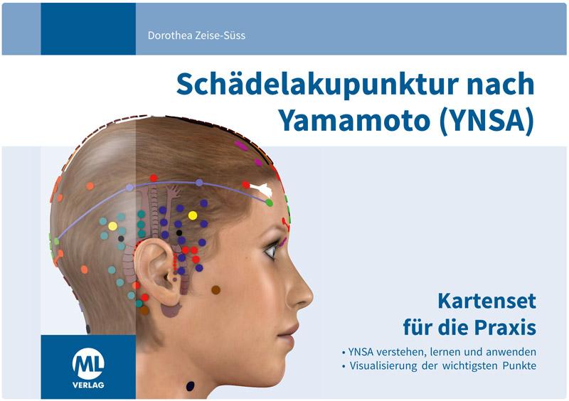 Gra/Zabawka Schädelakupunktur nach Yamamoto (YNSA) 