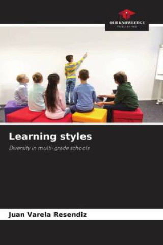 Kniha Learning styles 