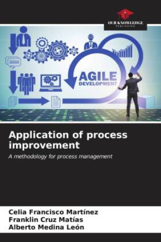 Książka Application of process improvement Franklin Cruz Matías