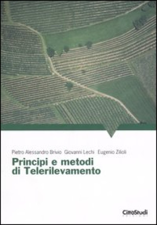 Книга Principi e metodi di telerilevamento Pietro A. Brivio