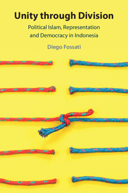 Knjiga Unity through Division Diego Fossati