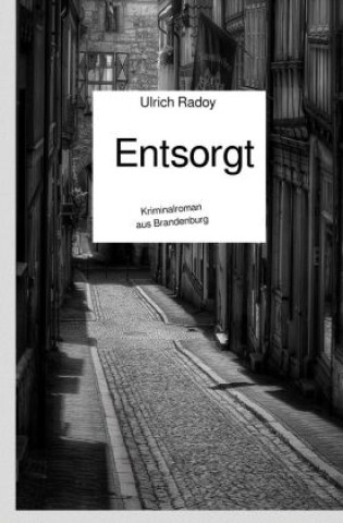 Knjiga Entsorgt Ulrich Radoy