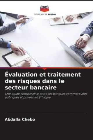Knjiga Évaluation et traitement des risques dans le secteur bancaire Abdalla Chebo