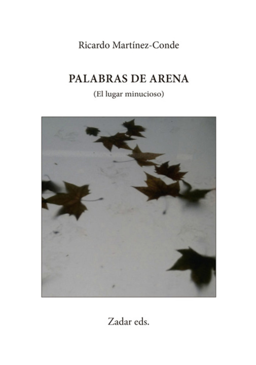 Knjiga PALABRAS DE ARENA MARTINEZ-CONDE