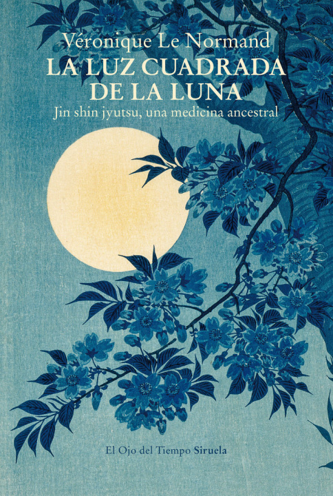 Kniha La luz cuadrada de la luna LE NORMAND