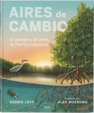 Kniha AIRES DE CAMBIO LEVY