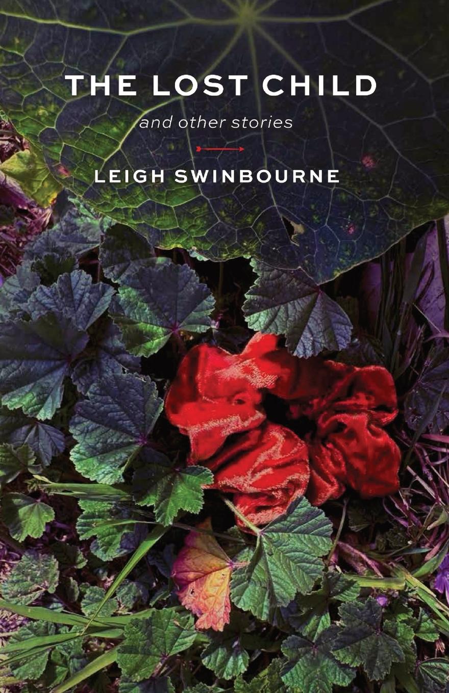 Book The Lost Child Leigh Swinbourne