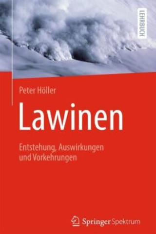 Libro Lawinen Peter Höller