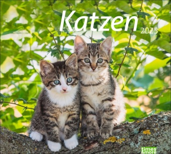 Naptár/Határidőnapló Katzen Bildkalender 2025 