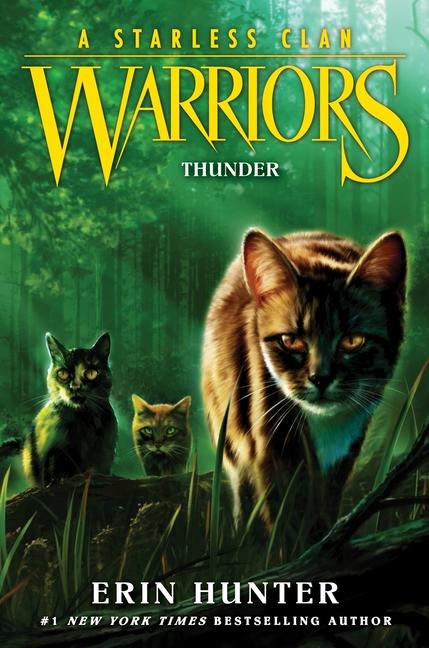 Kniha Warriors: A Starless Clan #4: Thunder Erin Hunter