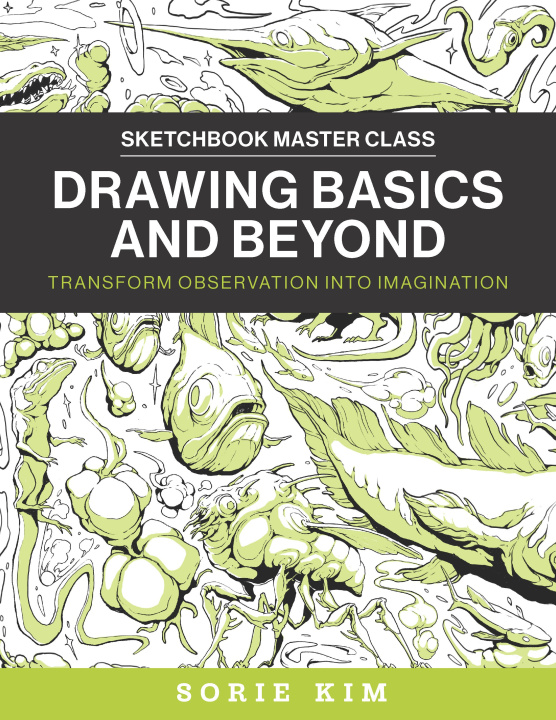 Könyv Drawing Basics and Beyond Sorie Kim